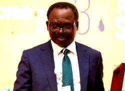 Solewant Group hails FG, NCDMB on local content implementation