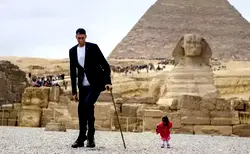 Top 5 countries with the tallest people in the world