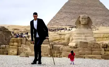 Top 5 countries with the tallest people in the world