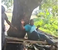 Viral torture video: Customs officers face ‘disciplinary action’