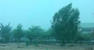 5 common health problems during harmattan; how to stay protected