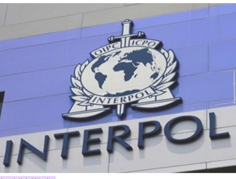 Police in Nigeria, 15 others nab 651 in Interpol $45m cybercrime bust