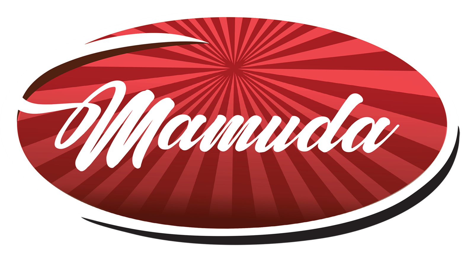 Vice President Kashim Shettima Inaugurates Mamuda Group’s New Factories Advancing Nigerian Industry