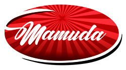 Vice President Kashim Shettima Inaugurates Mamuda Group’s New Factories: Advancing Nigerian Industry