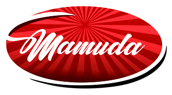 Vice President Kashim Shettima Inaugurates Mamuda Group’s New Factories: Advancing Nigerian Industry
