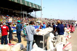 Hope comes alive as CCRW showers blessings on 300,000 Nigerians in Ibadan