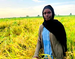 How Fatima Yusuf Hadejia is revolutionising farming in Jigawa