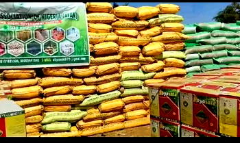 Sokoto begins free distribution of 41,400 bags of fertilizer, other inputs to irrigation farmers