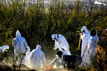 Mexico recovers 31 bodies from secret graves
