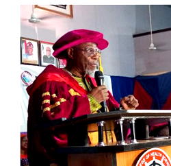 Corruption, weak institutions hampering Nigeria’s dev priorities – Falola