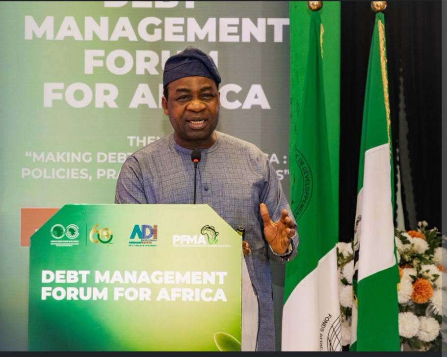 Debt Management: African countries must tie borrowing to projects – Ogunleye