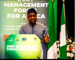Debt Management: African countries must tie borrowing to projects – Ogunleye