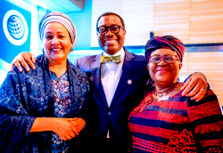 Okonjo-Iweala, Akinwunmi, and other Nigerians holding top positions in global institutions