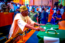2025: FG, 35 states propose N74trn poverty alleviation budget