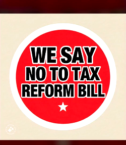 Tax Reform Bills: Southern Borno concerned citizens declares One-Day fasting for Zulum, Ndume