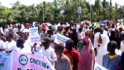 Protesters storm Senate over bill for establishment of Marine Coast Guard 