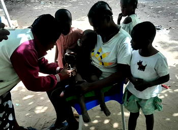 Benue records impressive immunization turnout
