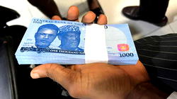 Our highest note cannot buy you a meal, by Stephanie Shaakaa