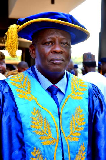 Oyeweso-Led Council and the Renaissance at OAU Ife