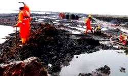 MOSOP expresses concern over NNPC/Sahara Energy OML 11 deal