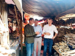 Norwegian Seafood Council renews call for zero duty on stockfish