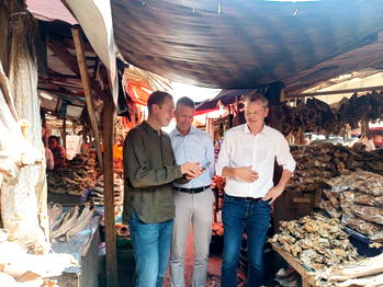 Norwegian Seafood Council renews call for zero duty on stockfish