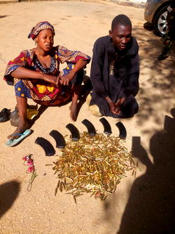Troops arrest Bello Turji’s female ammunition courier in Zamfara