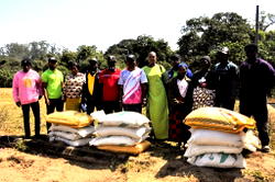 C’River: 500 wheat farmers get FG’s subsidised inputs