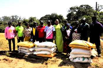 C’River: 500 wheat farmers get FG’s subsidised inputs