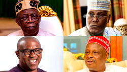 10 reasons opposition parties are toothless