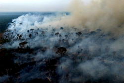 2024 hottest recorded year, crossed global warming limit