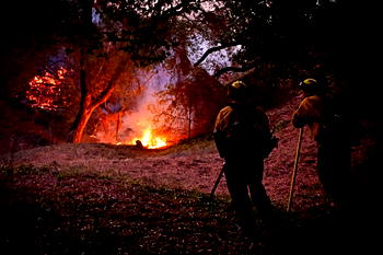 Strong winds return to whip up Los Angeles fires