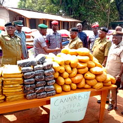 Customs intercepts, hands over 1,625 parcels of cannabis sativa to NDLEA in Ogun