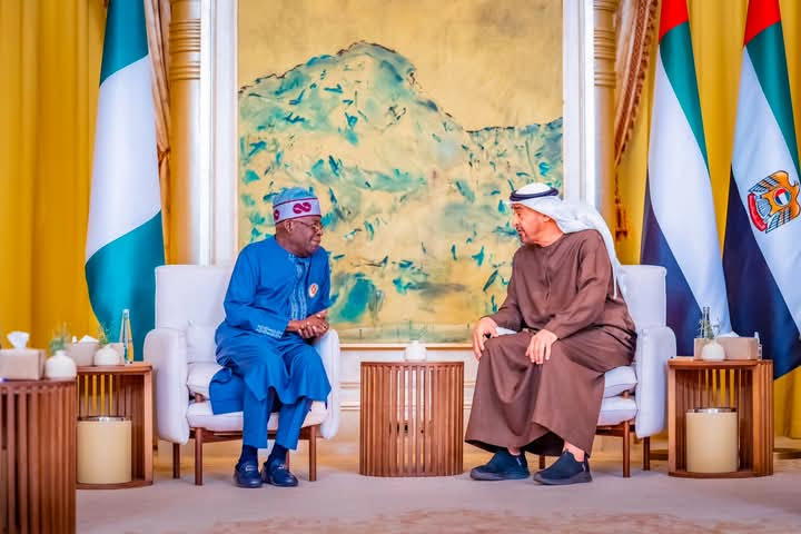 UAE president Sheikh Al Nahyan to visit Nigeria this year – Presidency