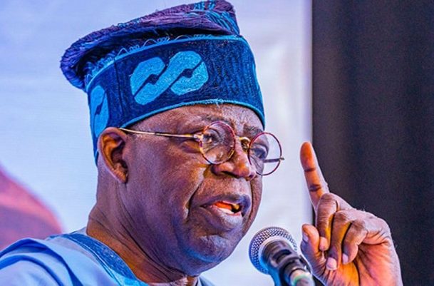 Tinubu tasks governors on performance