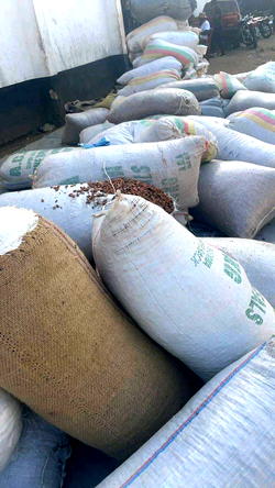 Cultivate Africa: Transforming Nigeria’s agriculture, creating wealth, and feeding the nation