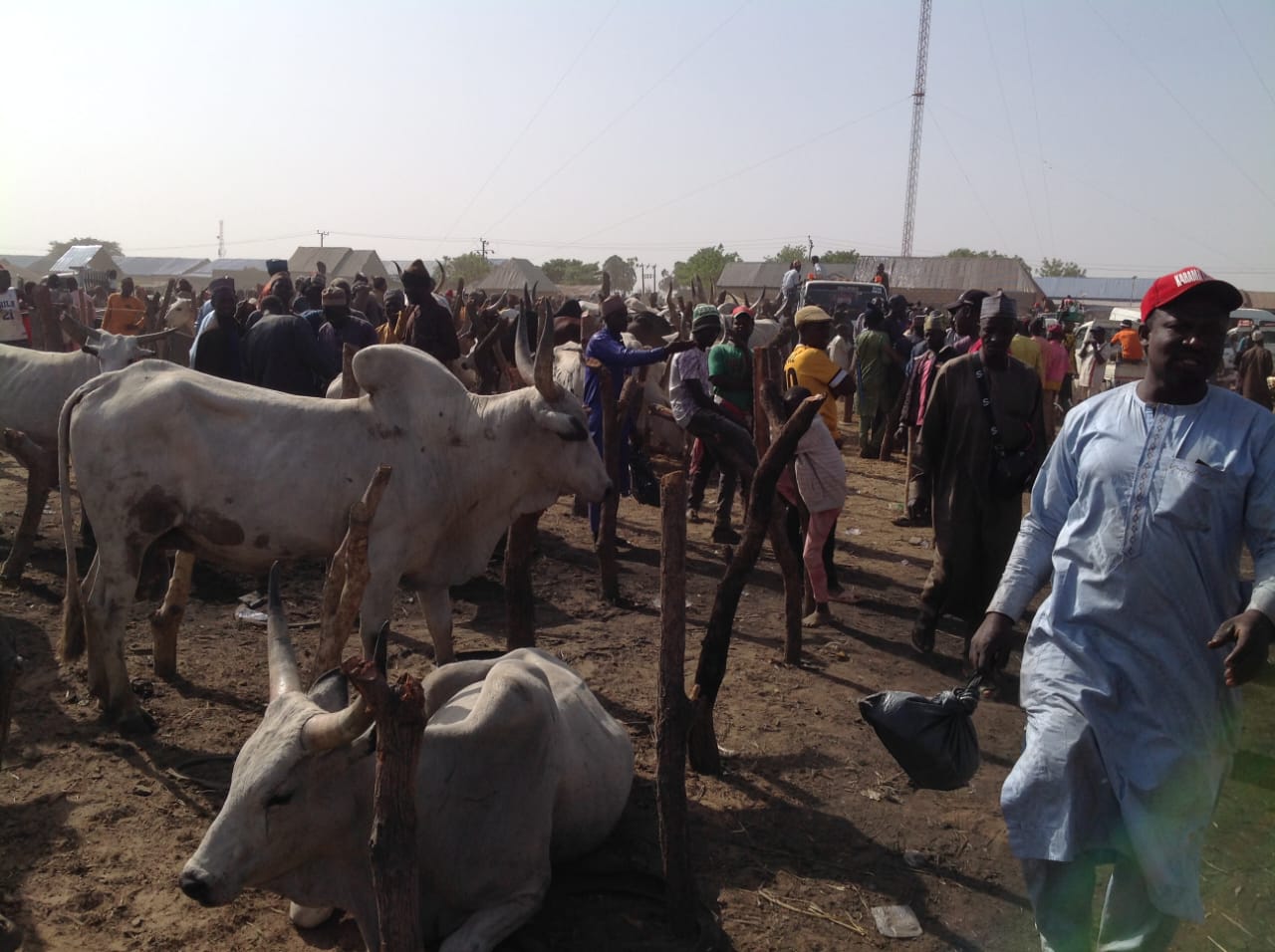 Kaduna repentant bandits seek forgiveness