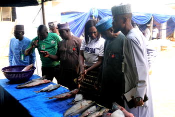 Empowering farmers, feeding the masses: Kwara’s Thursday fish market kicks off