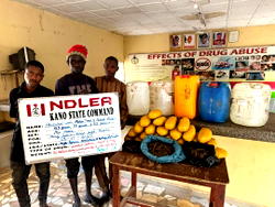 NDLEA foils attempt to export drugs concealed in duvets to UK, arrests two suspects