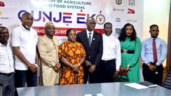 Food Security: Lagos set to launch N500m ‘Ounje Eko’ farmers’ subsidy intervention programme