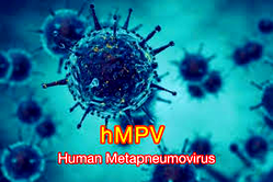 HMPV: We’re monitoring development closely – NCDC