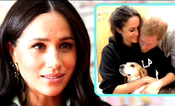 ‘I have cried too many tears’, Duchess of Sussex, Meghan Markle mourns her dog