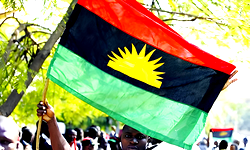 Ohaneze Ndigbo: We’re happy Rivers man has been elected – IPOB