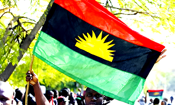 Ohaneze Ndigbo: We’re happy Rivers man has been elected – IPOB