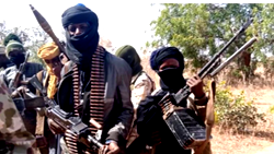 Terrorists kill 50 in Borno, Nasarawa