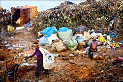 Hardship: Women scavenging for valuables in garbage dump to feed their homes