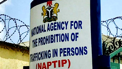 A’Ibom endemic to human trafficking – NAPTIP