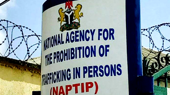 NAPTIP driver suspended over alleged defilement of already abused minors in custody