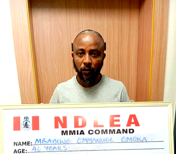 NDLEA arrest US-trained Hollywood and Nollywood filmmaker, Emeka Mbadiwe in Lagos
