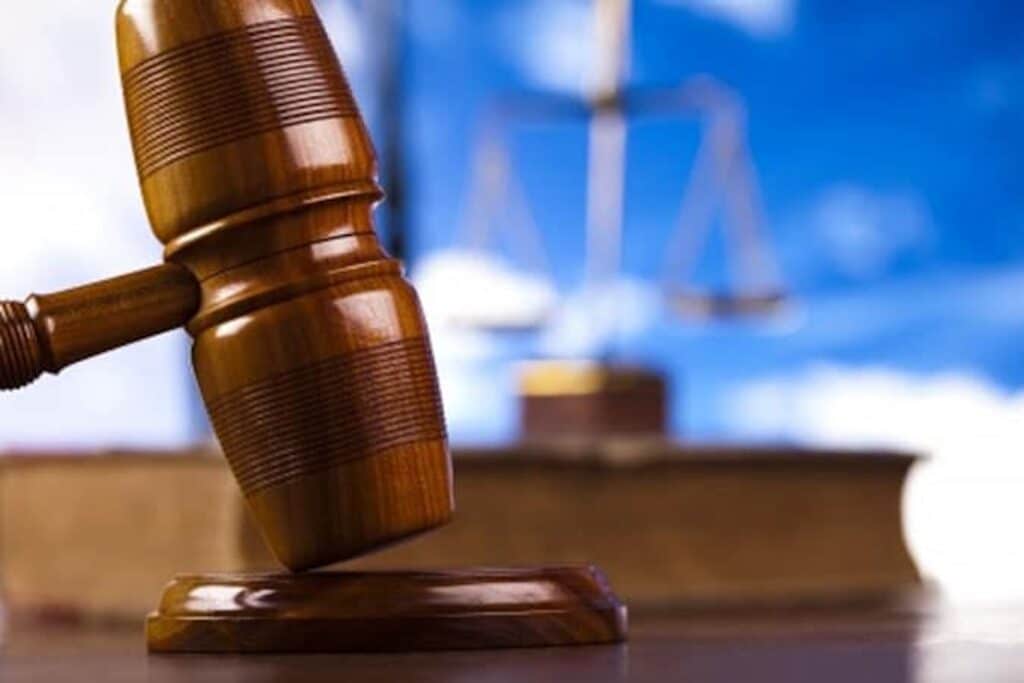 French mother sentenced to life for after starving daughter to death